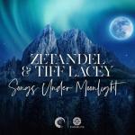 Cover: Zetandel & Tiff Lacey - Higher Ground