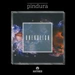 Cover: Pindura - Unendlich