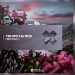 Cover: Stine Grove &amp; Raz Nitzan - Snow Angels
