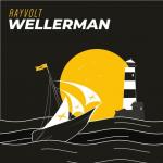 Cover: Rayvolt - Wellerman