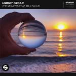 Cover: Ummet Ozcan feat. Mila Falls - The Moment