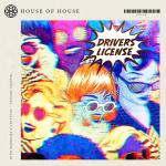 Cover: Olivia Rodrigo - Drivers License - Drivers License
