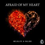 Cover: Audentity #1 Vocal Super Pack - Afraid Of My Heart