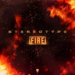 Cover: Stephen Pyne - Fire