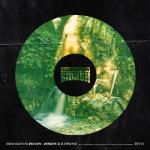Cover: Dimatik - Greensleeves Reborn