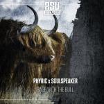Cover: Phyric &amp; Soulspeaker - Rage With The Bull