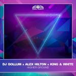 Cover: DJ Gollum &amp; Alex Hilton &amp; King &amp; White - Higher Ground