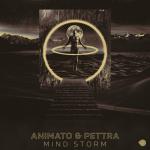 Cover: Animato & Pettra - Mind Storm