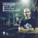 Cover: Skinrush feat. Ruffneck - Where The Dead Mingle
