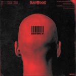Cover: DJ Mad Dog - Il Futuro