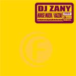 Cover: DJ Zany - Razzia!