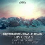 Cover: Akustikrausch &amp; DJ Cap &amp; DJ Gollum - This Ocean Can't Be Tamed