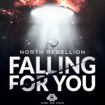 Cover: Rebellion - Falling For You