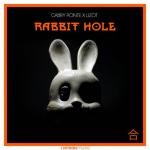 Cover: Gabry Ponte &amp; LIZOT - Rabbit Hole