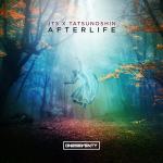 Cover: JTS & Tatsunoshin - Afterlife