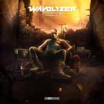 Cover: Wavolizer - Paradox