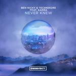 Cover: Ben Nicky & Technikore feat. KARRA - Never Knew