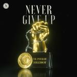 Cover: DR - Never Give Up