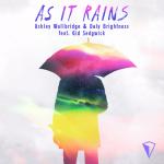 Cover: Ashley Wallbridge &amp; DalyBrightness feat. Gid Sedgwick - As It Rains