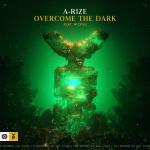 Cover: Hicksu - Overcome The Dark