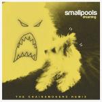 Cover: Smallpools - Dreaming (The Chainsmokers Remix)