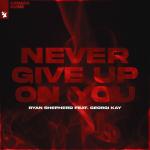 Cover: Kay - Never Give Up On You