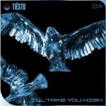 Cover: Tiësto - I’ll Take You High