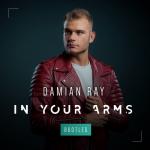 Cover: Damian - In Your Arms