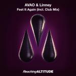 Cover: AVAO &amp; Linney - Feel It Again