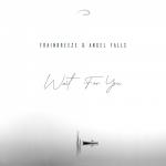 Cover: Frainbreeze & Angel Falls - Wait For You