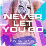 Cover: Avian Grays - Never Let You Go