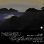 Cover: The Caracal Project - La Fournaise