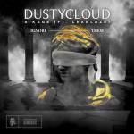 Cover: Dustycloud - Ignore Them