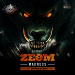 Cover: Zeom - Madness