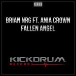 Cover: Ania Crown - Fallen Angel