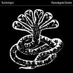 Cover: Turbonegro - The Age Of Pamparius