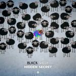 Cover: Hidden - Black Sheep