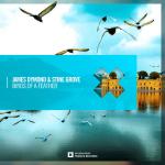 Cover: James Dymond &amp; Stine Grove - Birds Of A Feather