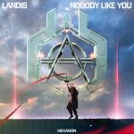 Cover: Landis - Nobody Like You (RetroVision Flip)