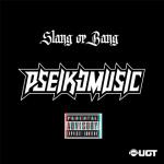 Cover: N.W.A - Gangsta Gangsta - Slang Or Bang