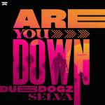 Cover: Dubdogz & Selva - Are You Down