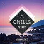 Cover: Calippo - Need Someone