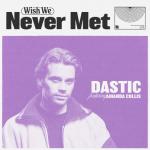 Cover: Dastic - Wish We Never Met