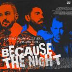 Cover: Vegas - Because The Night