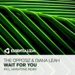 Cover: Diana - Wait For You