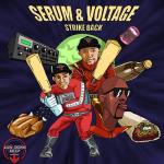 Cover: Serum &amp; Voltage - Don't Know Why