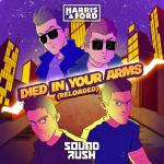 Cover: Harris &amp;amp;amp;amp;amp;amp;amp;amp; Ford - Died In Your Arms (Reloaded)