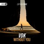 Cover: Dropgun Samples: Vocal EDM House - Without You