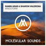 Cover: Ramin Arab &amp; Sharon Valerona - Windstorm