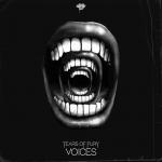 Cover: Fury - Voices